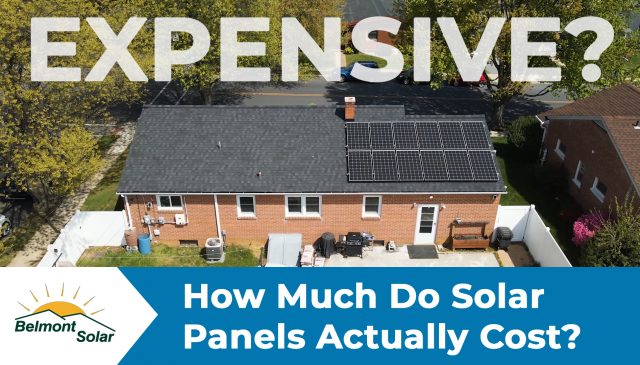 solar panel cost