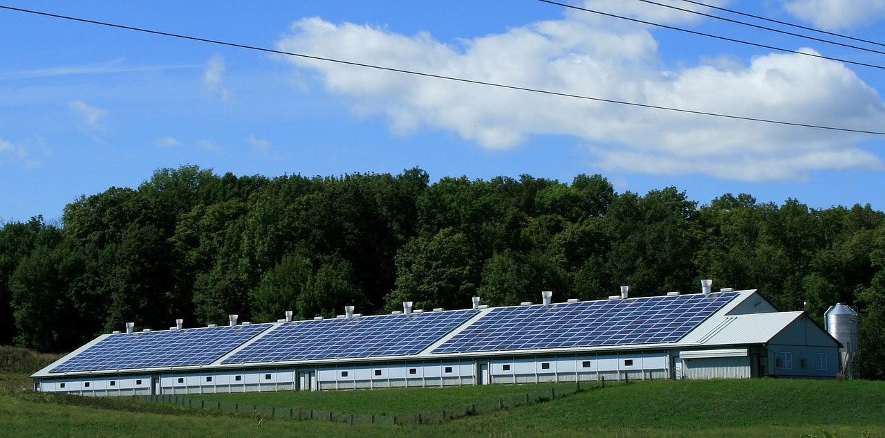 solar panel savings solar panel chicken house