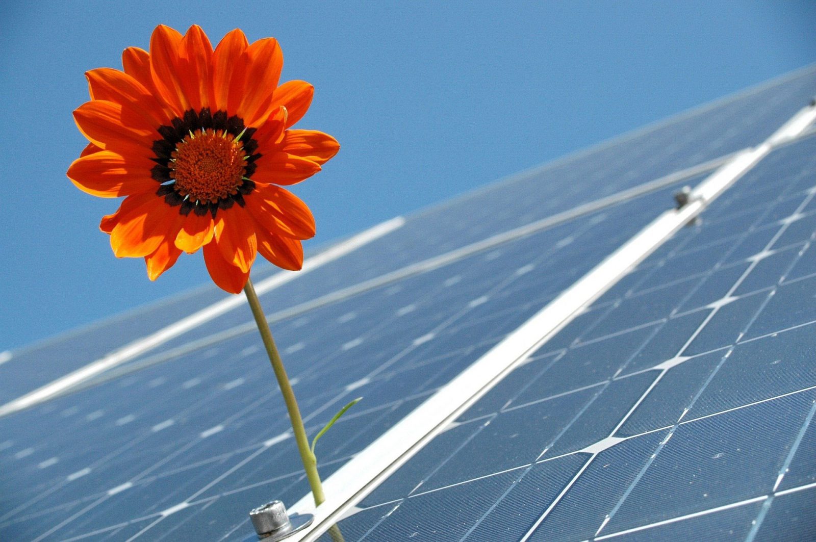 net zero solar power solar panel field installation