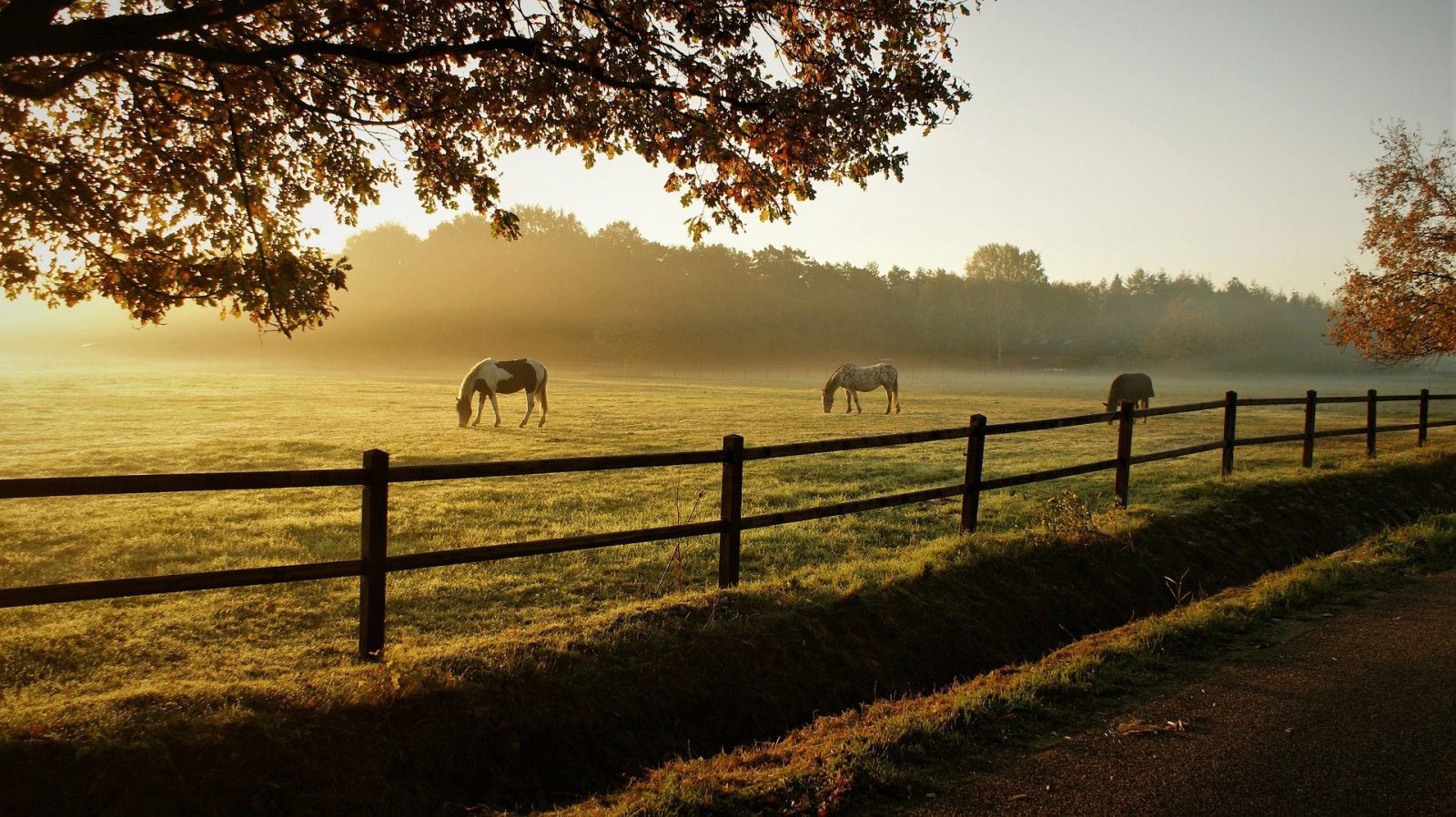 solar panel savings horse farm solar system