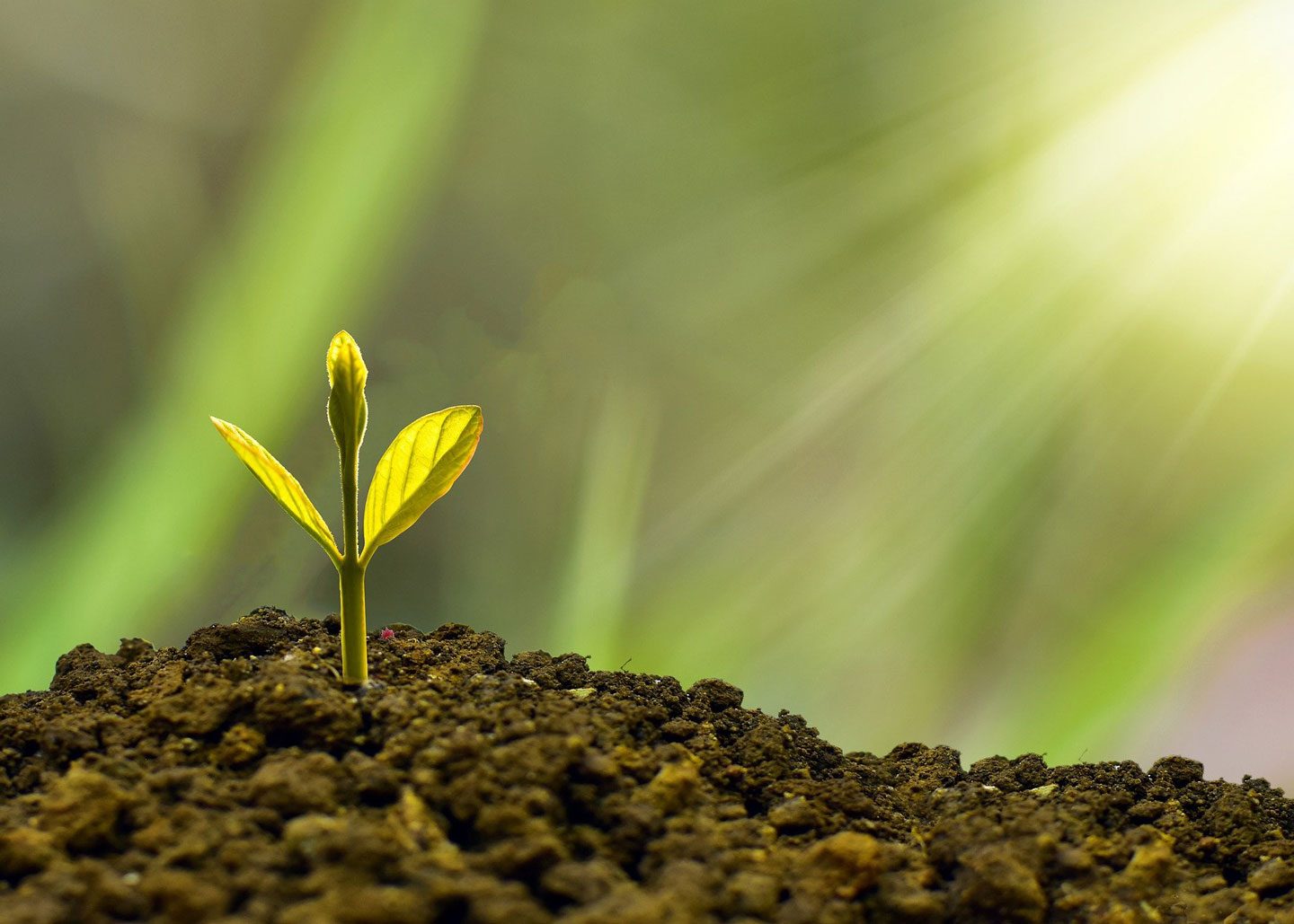 solar financing solar financing in pa